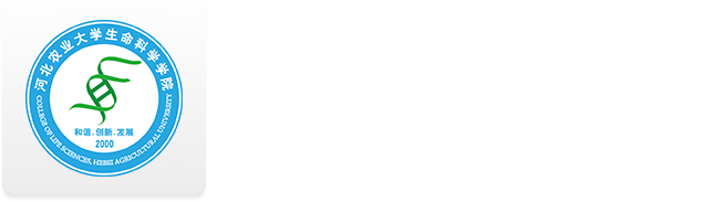 EON体育4注册